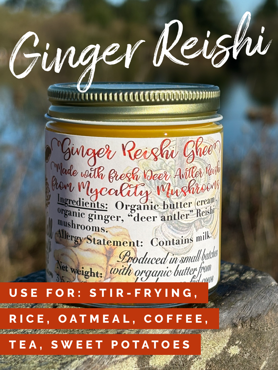 Ginger Reishi Ghee - 12 oz. | 3.5 oz. glass jar